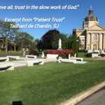 Patient Trust in Grieving a Loss